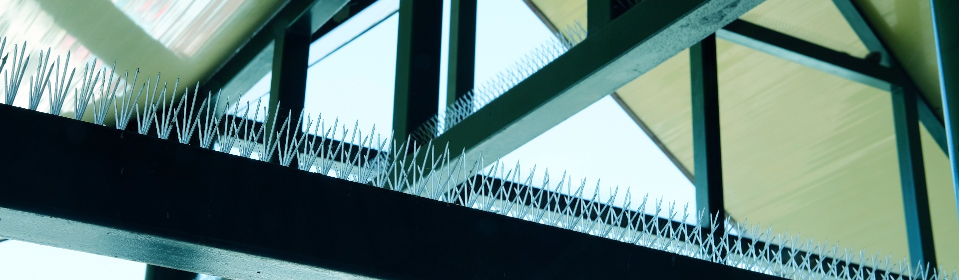 Bird spikes on a building